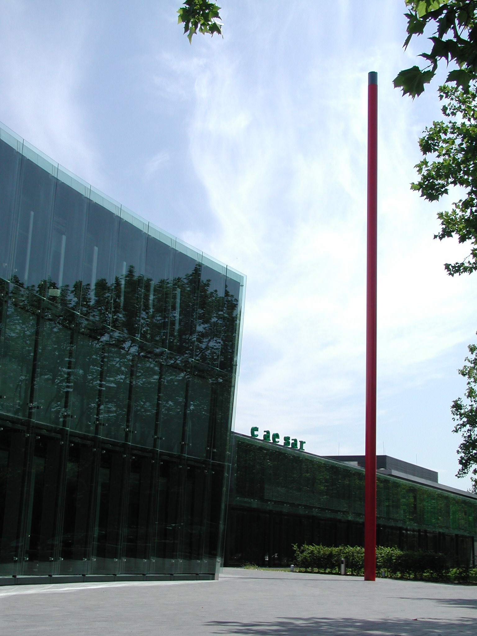 Stiftung caesar, Bonn - Kunst Raum Konzepte